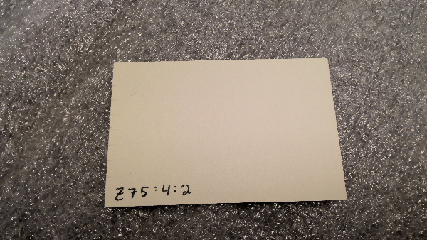 Antilocapridae image