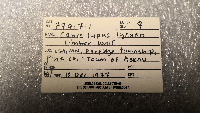 Canis lupus image