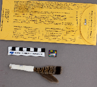 Bonasa umbellus image