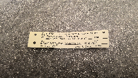 Peromyscus leucopus image