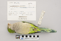 Image Associated With the Occurrence