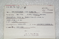 Bubo virginianus image