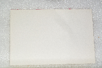 Bubo virginianus image