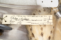 Image Associated With the Occurrence