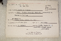 Pandion haliaetus image