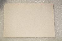 Pandion haliaetus image