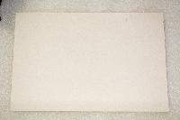 Pandion haliaetus image