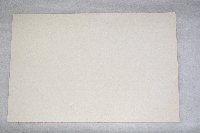 Himantopus mexicanus image