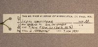 thumbnail image of current specimen
