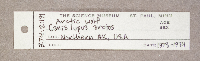 Canis lupus image