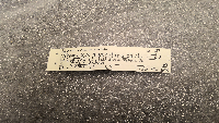 Peromyscus maniculatus bairdii image