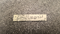 Peromyscus maniculatus bairdii image