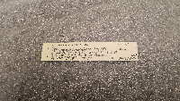 Peromyscus maniculatus bairdii image