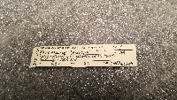 Peromyscus leucopus image