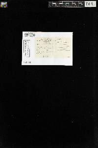 Aulacomnium palustre image