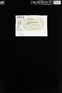 Image Associated With the Occurrence