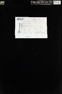 Sanionia uncinata var. uncinata image