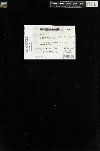 Sanionia uncinata var. uncinata image