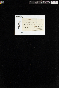 Encalypta ciliata image