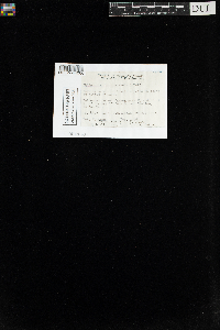 Philonotis fontana image