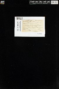 Tetraphis pellucida image