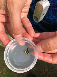 Image Associated With the Occurrence