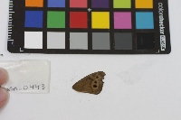 Image Associated With the Occurrence