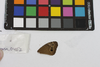 Image Associated With the Occurrence