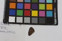 Image Associated With the Occurrence