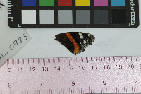 Vanessa atalanta image