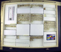 Media resource of Prosimulium exigens