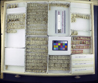 Media resource of Simulium jenningsi