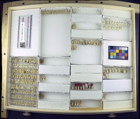 Media resource of Simulium pertinax