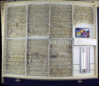 Media resource of Simulium venustum