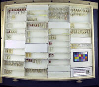 Media resource of Cooka aterrima