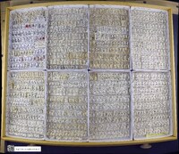 Neoplea striola image