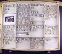 Media resource of Oxyethira obtatus