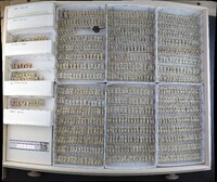 Media resource of Megastigmus nigrovariegatus