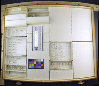 Media resource of Trichocera brevicornis