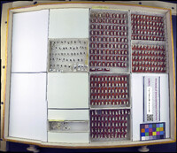 Media resource of Rheumatobates hungerfordi