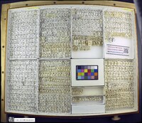 Media resource of Hydrovatus pustulatus