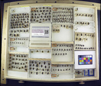 Media resource of Villa aenea