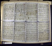 Media resource of Laccophilus biguttatus