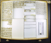 Media resource of Pagasa fusca