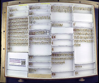 Media resource of Lygidea mendax