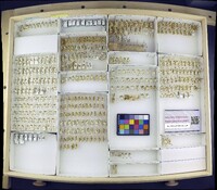 Media resource of Aedes aboriginis