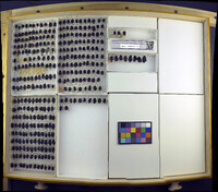 Thanatophilus lapponicus image