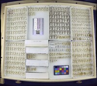 Media resource of Aedes euedes