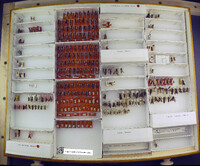 Media resource of Timulla inca