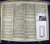 Media resource of Aedes canadensis